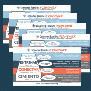 Framework Magnet - Set of Five (Español)